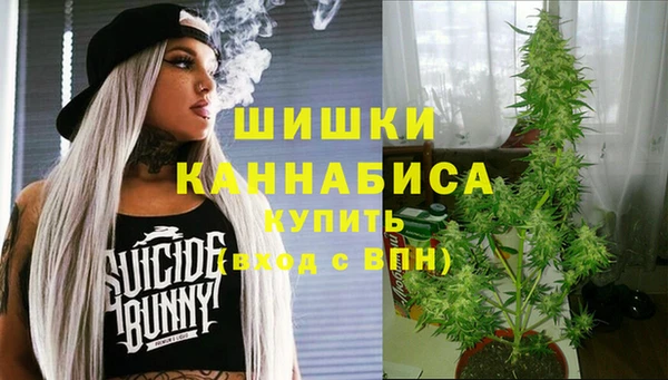 эйфоретик Елизово